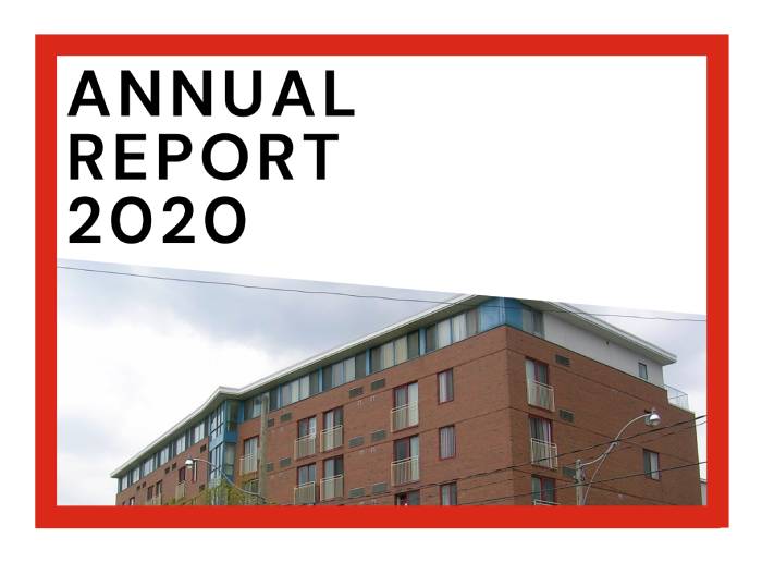 Read more about the article Annual Report 2020