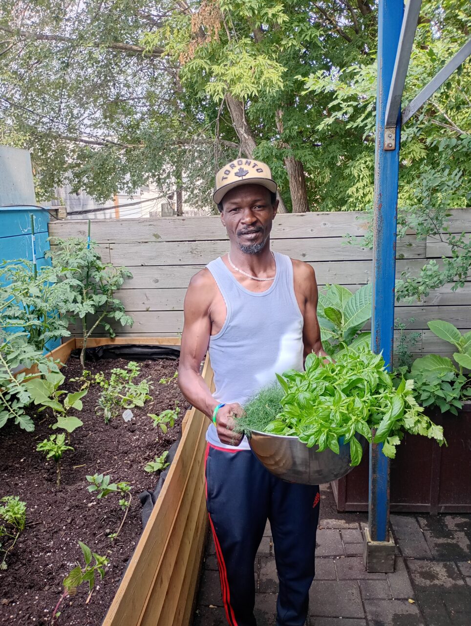 Pacewood gardening project