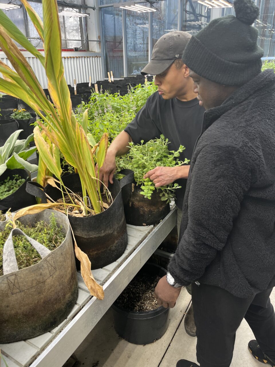 Homes First - Black Food Sovereignty Workshop