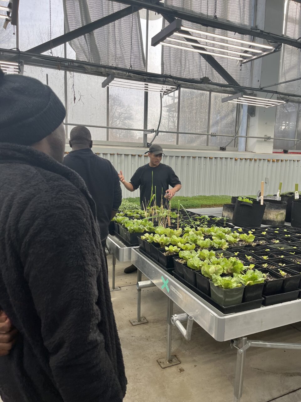 Homes First - Black History Food Sovereignty Workshop - The Shop Community